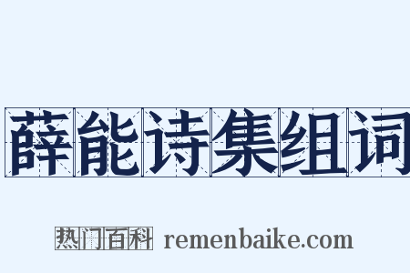 薛能诗集组词是什么意思的图片